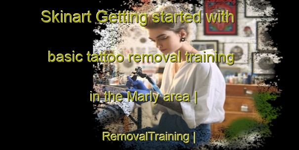 Skinart Getting started with basic tattoo removal training in the Marly area | RemovalTraining | RemovalClasses | SkinartTraining-United States
